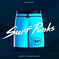 Surf Punk #590