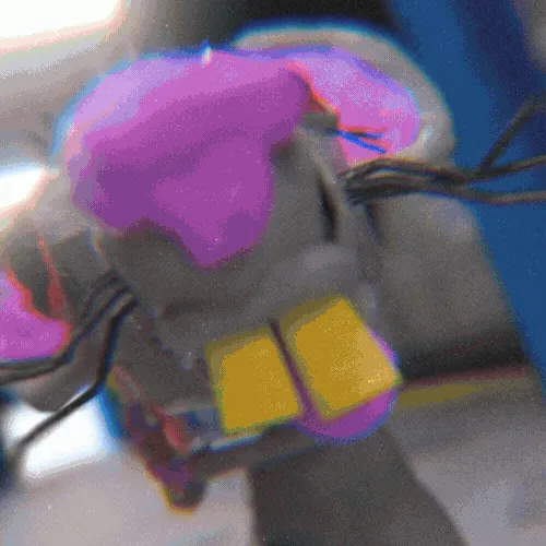 Item #57 Media