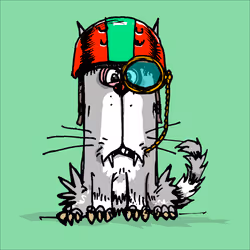 My Scruffy Cat 1038