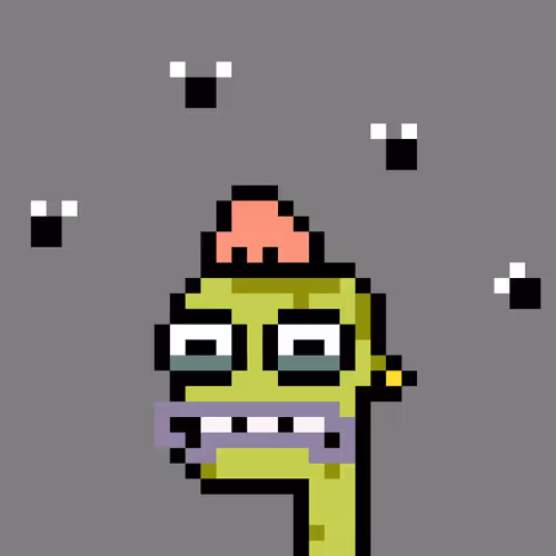 Punk Toadz