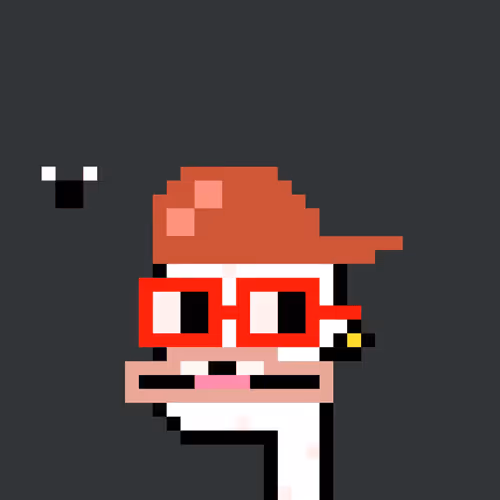 Punk Toadz