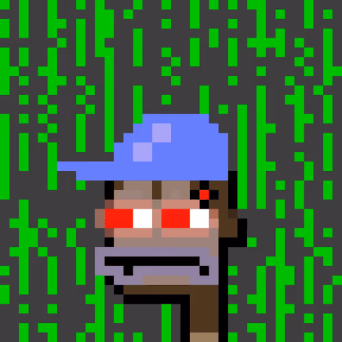 Punk Toadz