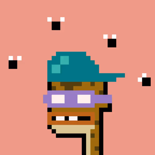 Punk Toadz