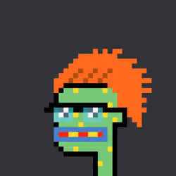 PunkToadz #1034