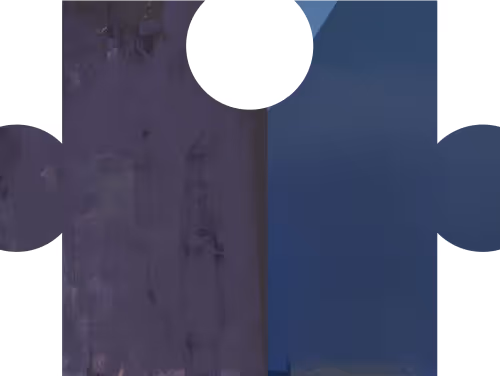Metis Shard Nft
