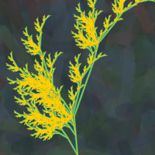Ash Fern