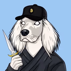 Shinobi Paws #20