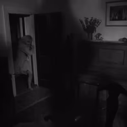 Night of the Living Dead — Frame #0466