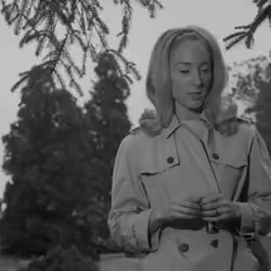 Night of the Living Dead — Frame #0138