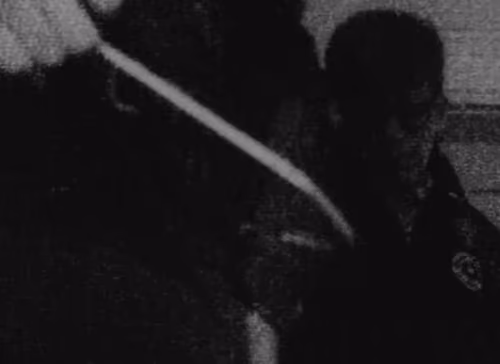 Item #2818 Media