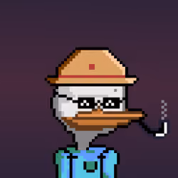 DACK DUCK #1305