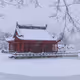Winter's Embrace