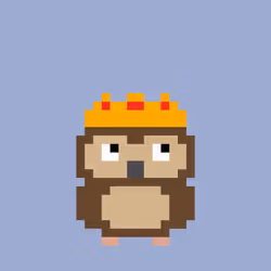 Owlex #320