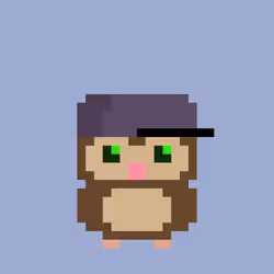 Owlex #25