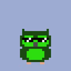 Owlex #1161