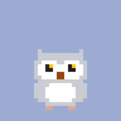 Owlex #1657