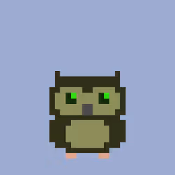 Owlex #1534