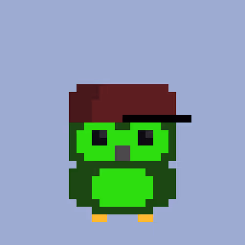 Owlexcollective