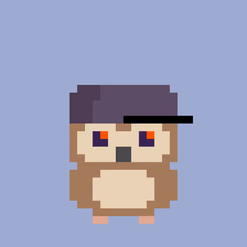 Owlexcollective