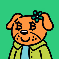 Cool Dog #3807