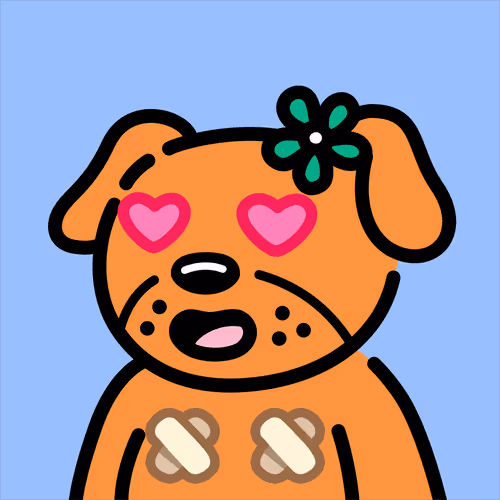 Cooldogsofficial