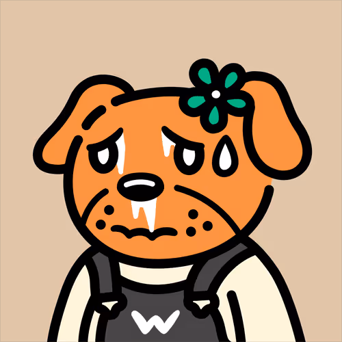 Cooldogsofficial