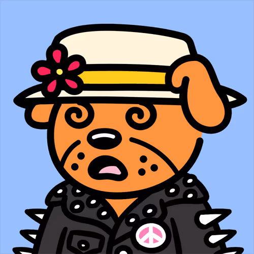 Cooldogsofficial