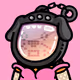 4213