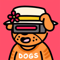 Cool Dog #1160