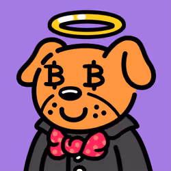 Cool Dog #4355