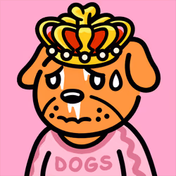 Cool Dog #2665