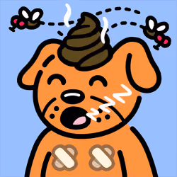 Cool Dog #4857