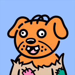 Cool Dog #3374