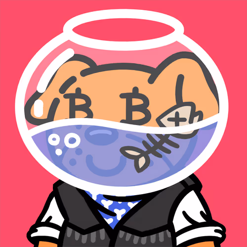 Cooldogsofficial