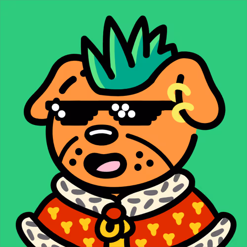 Cooldogsofficial