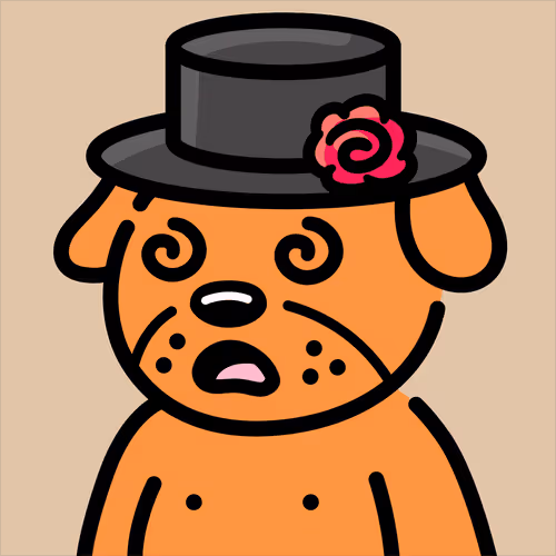 Cooldogsofficial