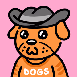 Cool Dog #2734