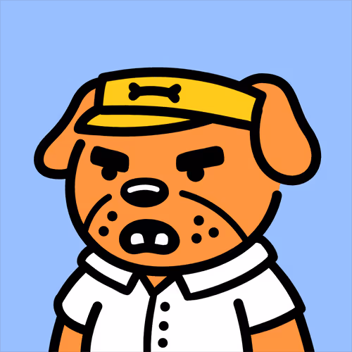 Cooldogsofficial