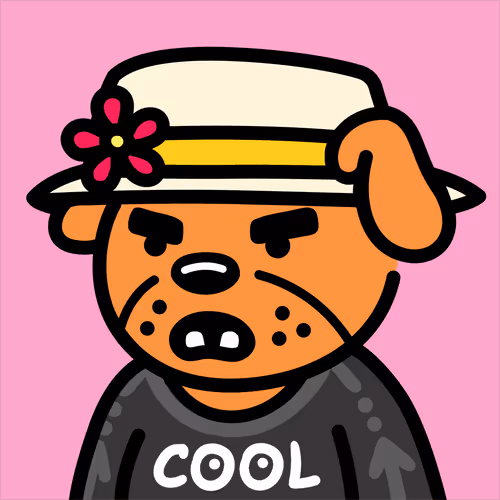 Cooldogsofficial