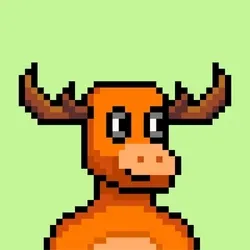 Moose #489