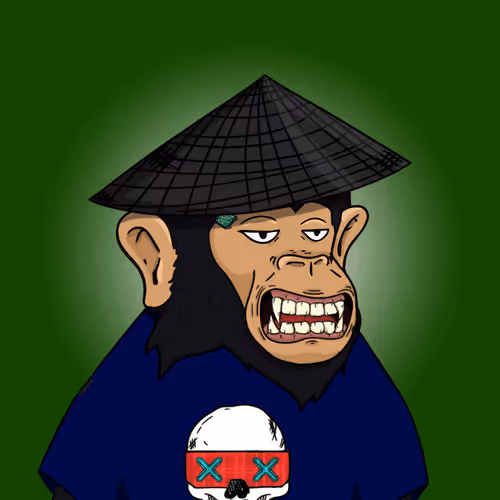 FraktalNFTSeoul Apes