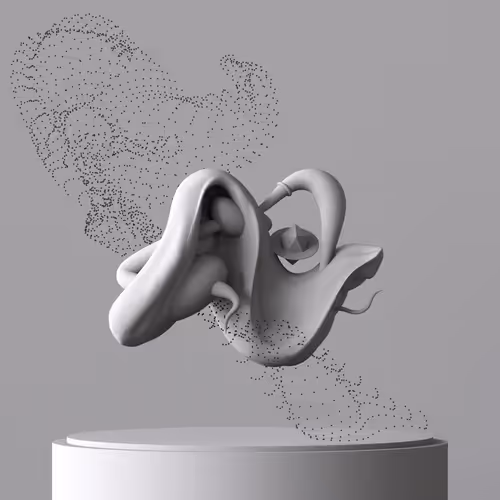 Sensation Elements