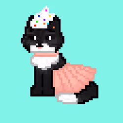 Black Cat
