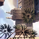 The Palm Heights