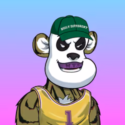 B-ball Pandas #2013