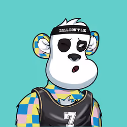 B-ball Pandas #4