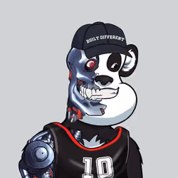 B-ball Pandas #640