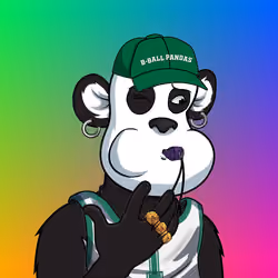 B-ball Pandas #1338