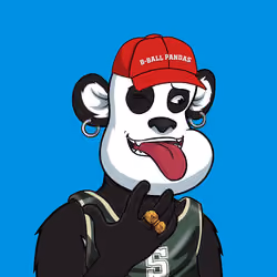 B-ball Pandas #2232