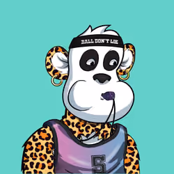 B-ball Pandas #2231